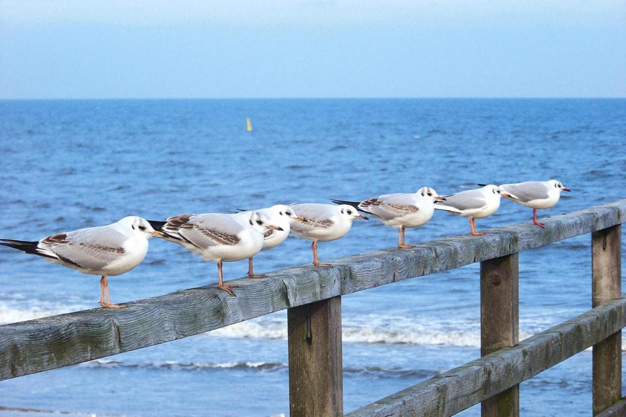 Ferienwohnung Strandidyll, Trassenheide Esterno foto